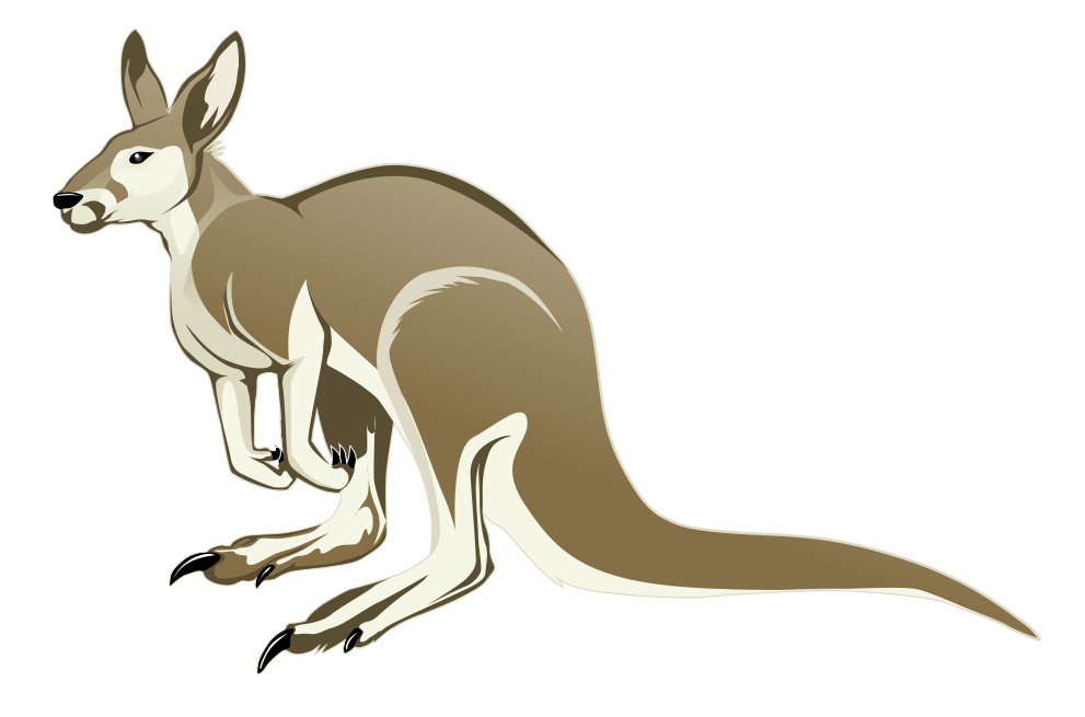 Detail Kangaroos Clipart Nomer 54