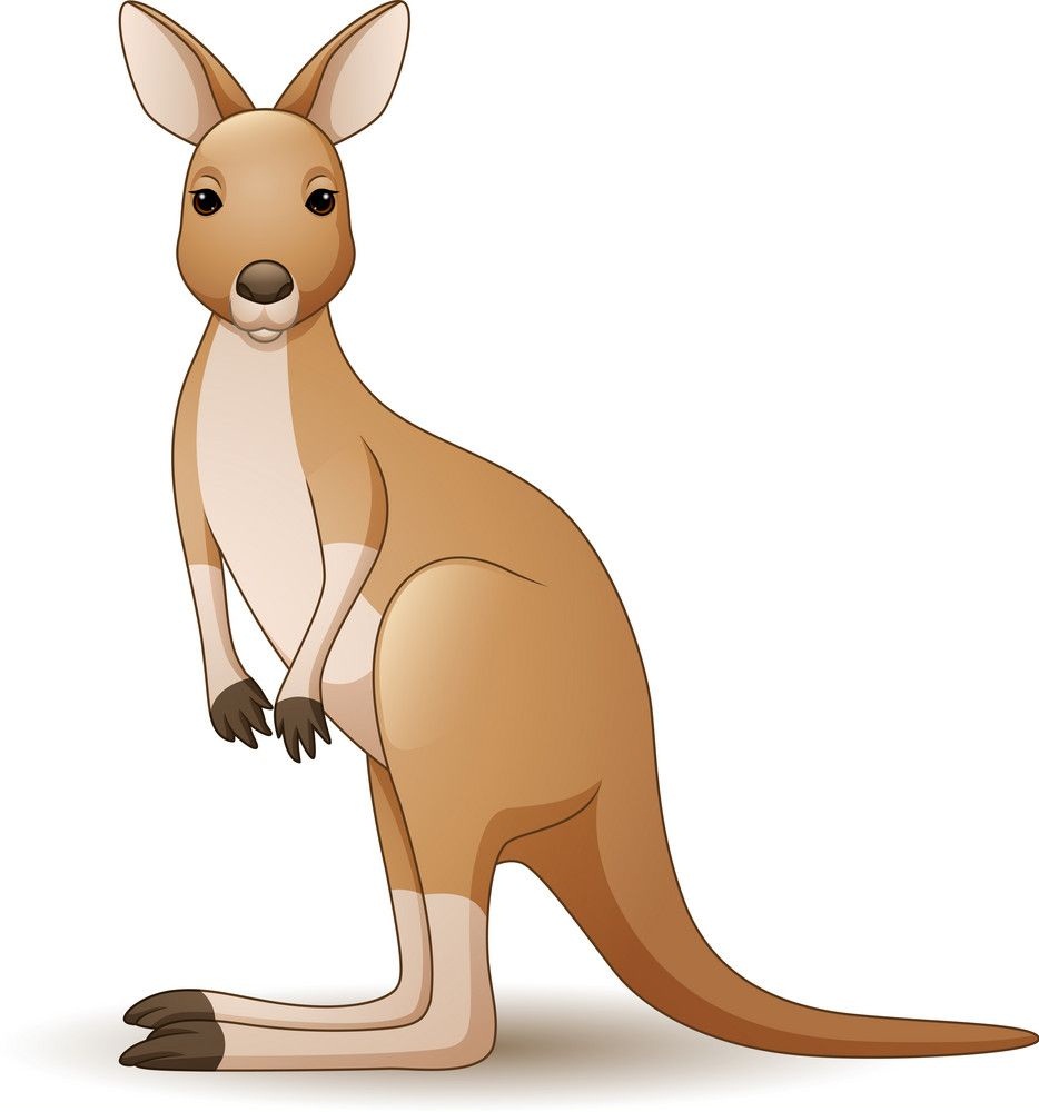 Detail Kangaroos Clipart Nomer 8