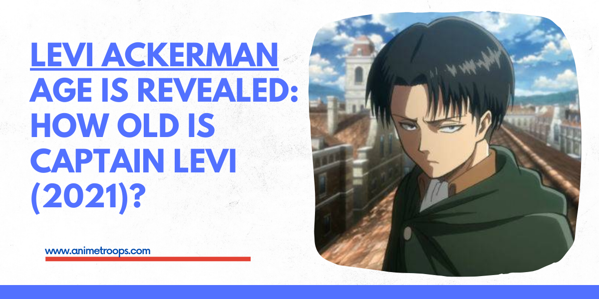 Detail Kapten Levi Nomer 47