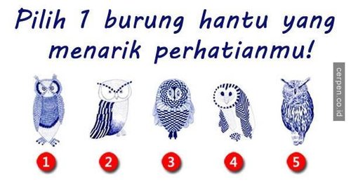 Detail Karakter Burung Hantu Nomer 54