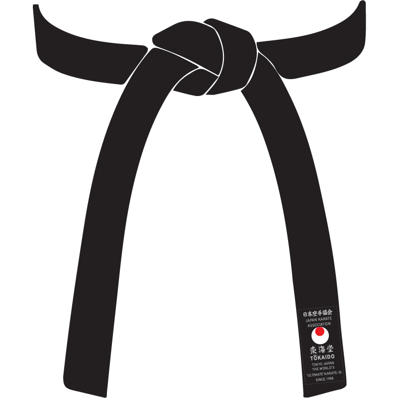 Detail Karate Belt Png Nomer 50