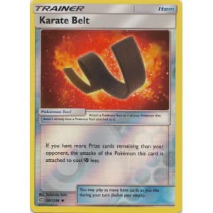 Detail Karate Belt Pokemon Card Nomer 6