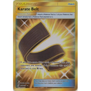 Detail Karate Belt Pokemon Card Nomer 8