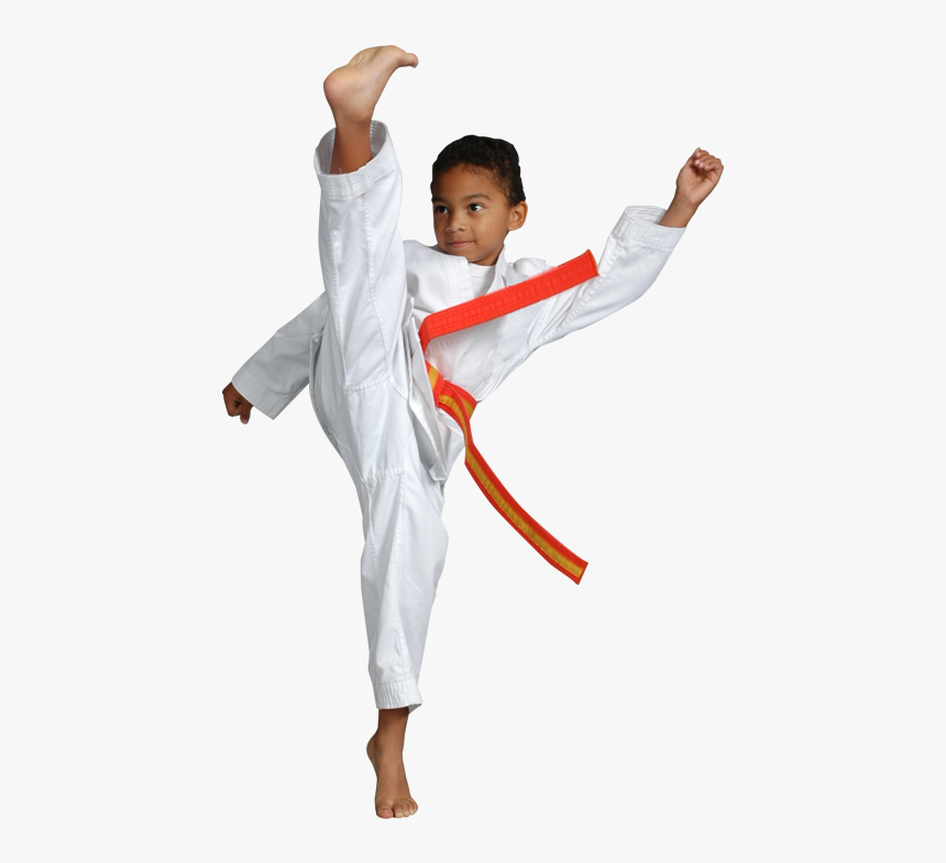 Detail Karate Kick Png Nomer 11