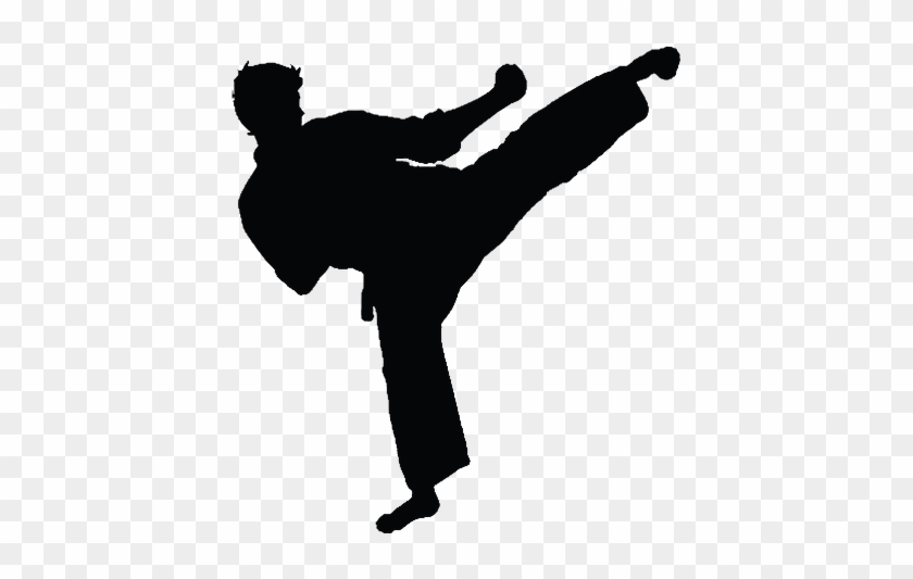 Detail Karate Kick Png Nomer 15