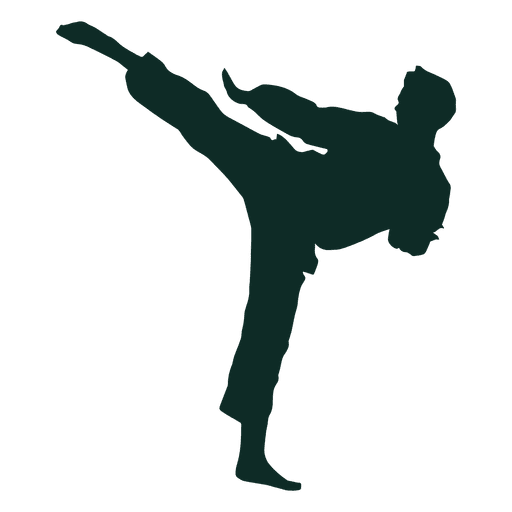 Detail Karate Kick Png Nomer 17