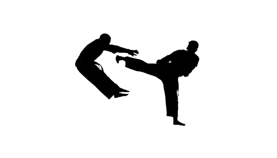 Detail Karate Kick Png Nomer 38