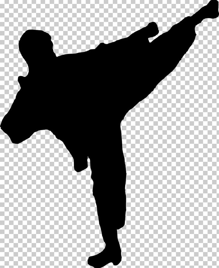 Detail Karate Kick Png Nomer 41