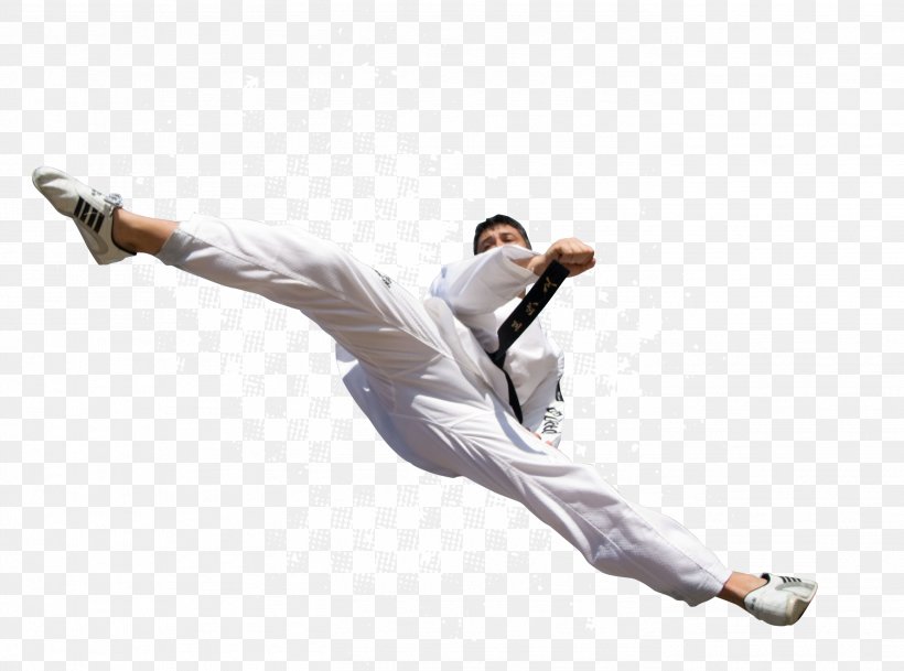 Detail Karate Kick Png Nomer 8