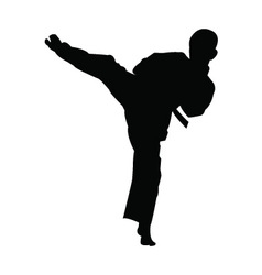 Detail Karate Silhouette Boy Nomer 21