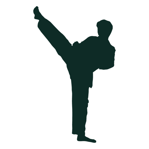 Detail Karate Silhouette Png Nomer 19