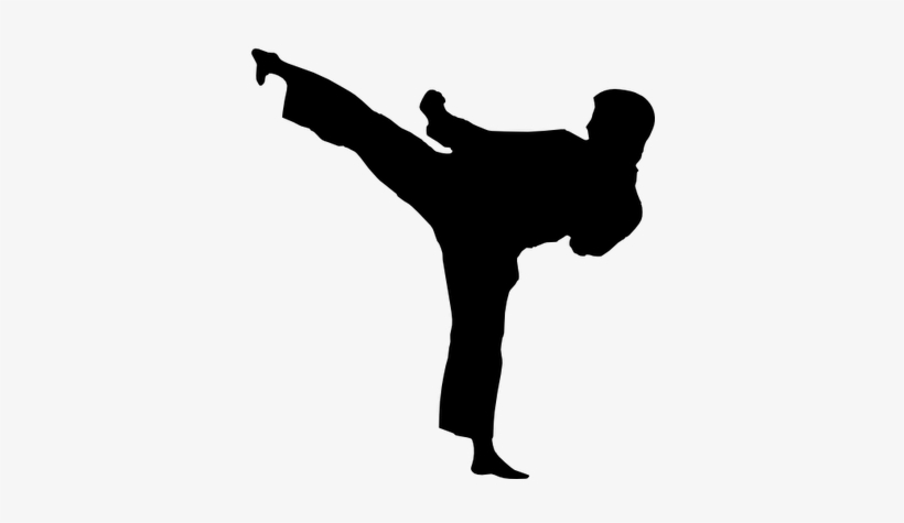 Detail Karate Silhouette Png Nomer 20