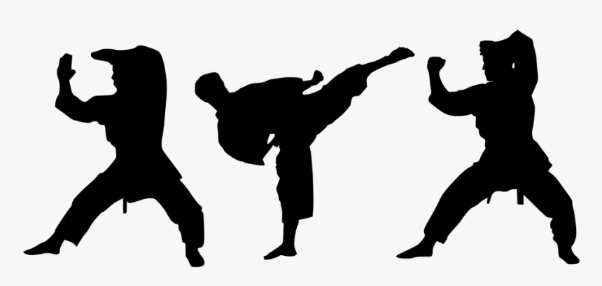 Detail Karate Silhouette Png Nomer 39