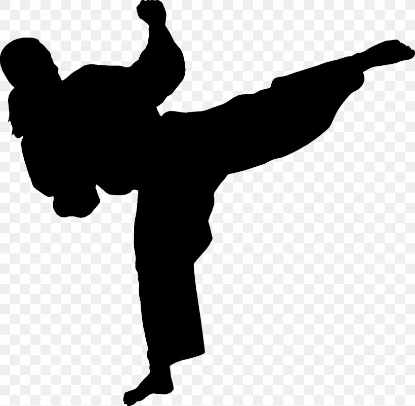 Detail Karate Silhouette Png Nomer 47