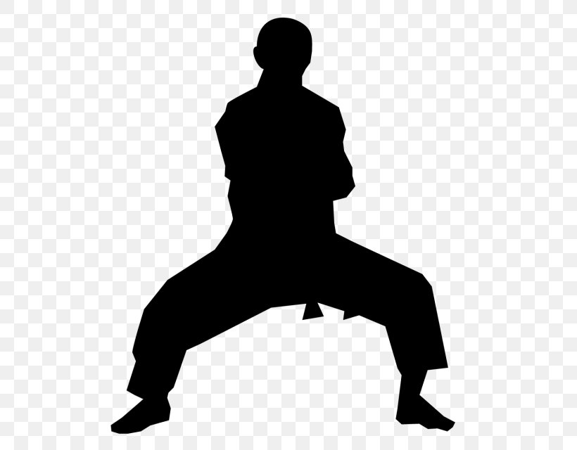 Detail Karate Vector Png Nomer 21