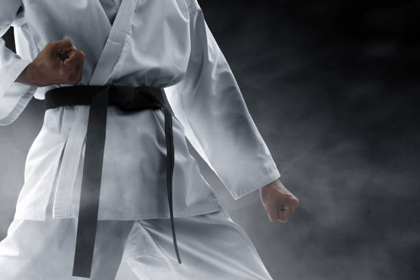 Detail Karate Wallpaper Hd Nomer 12