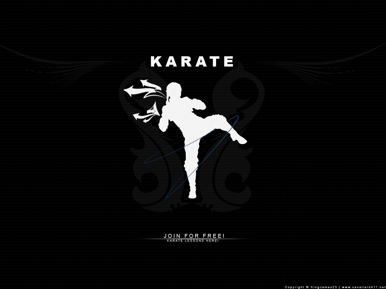 Detail Karate Wallpaper Hd Nomer 15