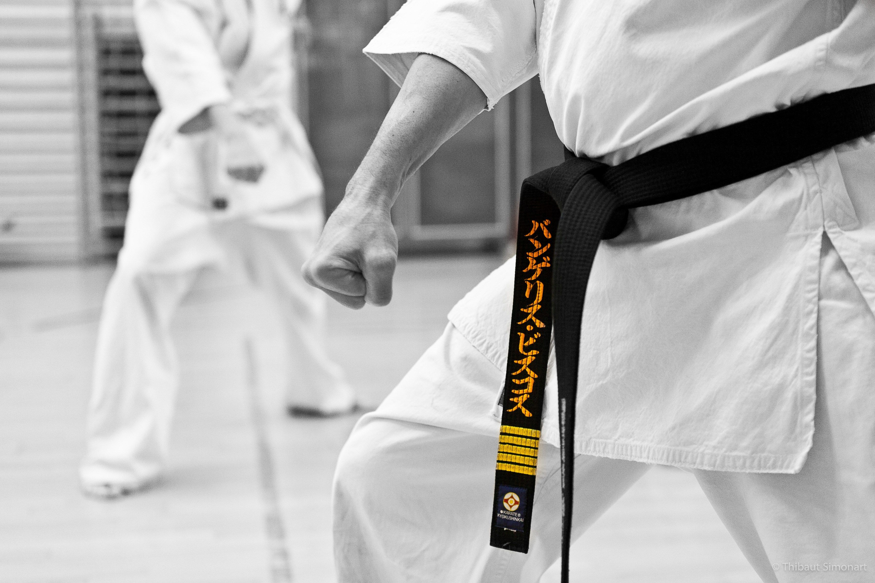 Detail Karate Wallpaper Hd Nomer 45