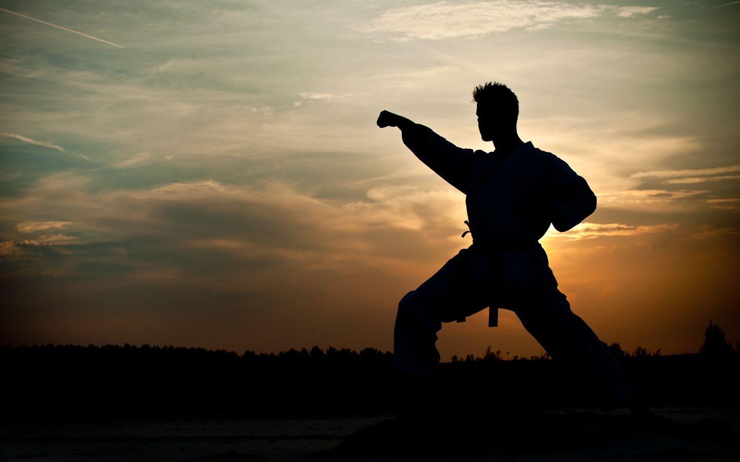 Detail Karate Wallpaper Hd Nomer 10