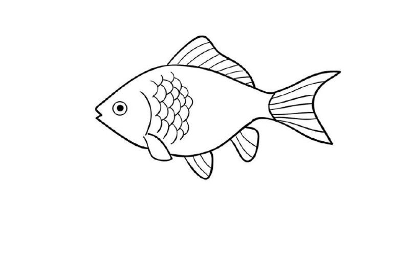Detail Karikatur Gambar Ikan Nomer 40