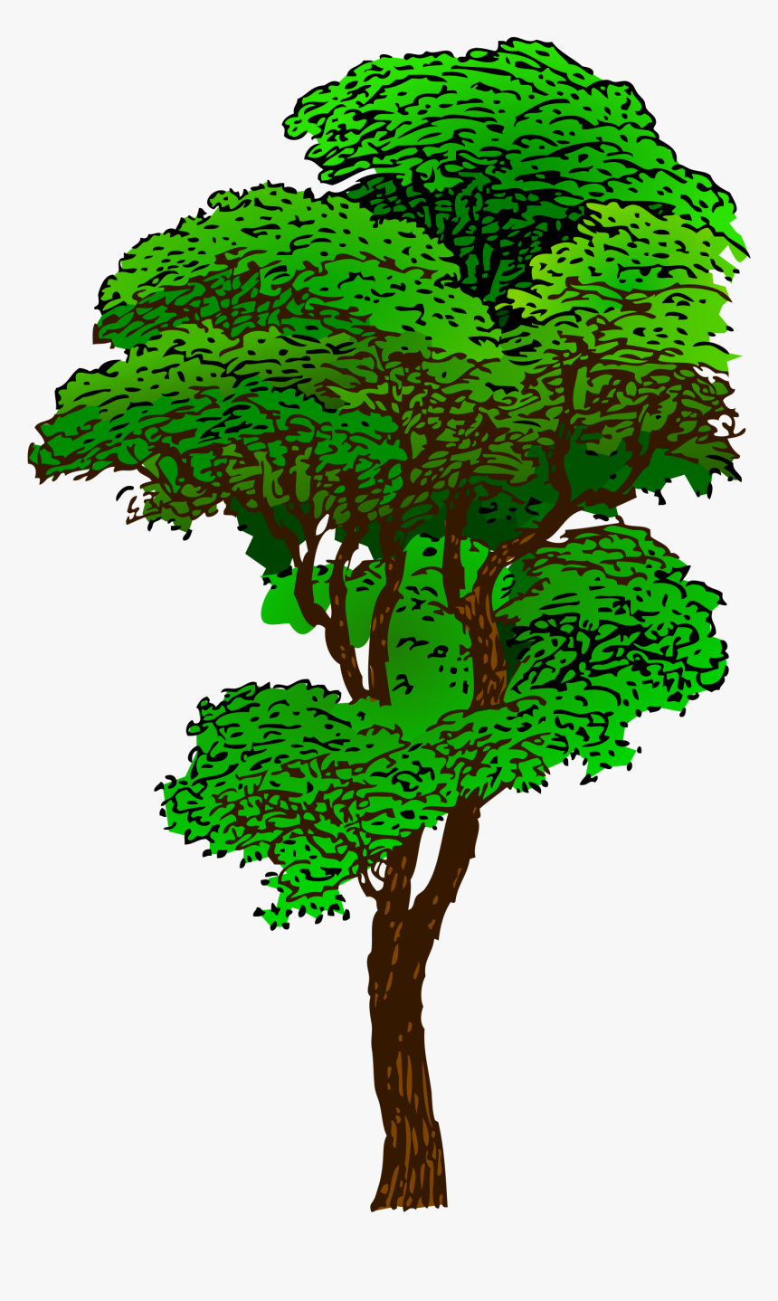 Detail Karikatur Gambar Pohon Nomer 34