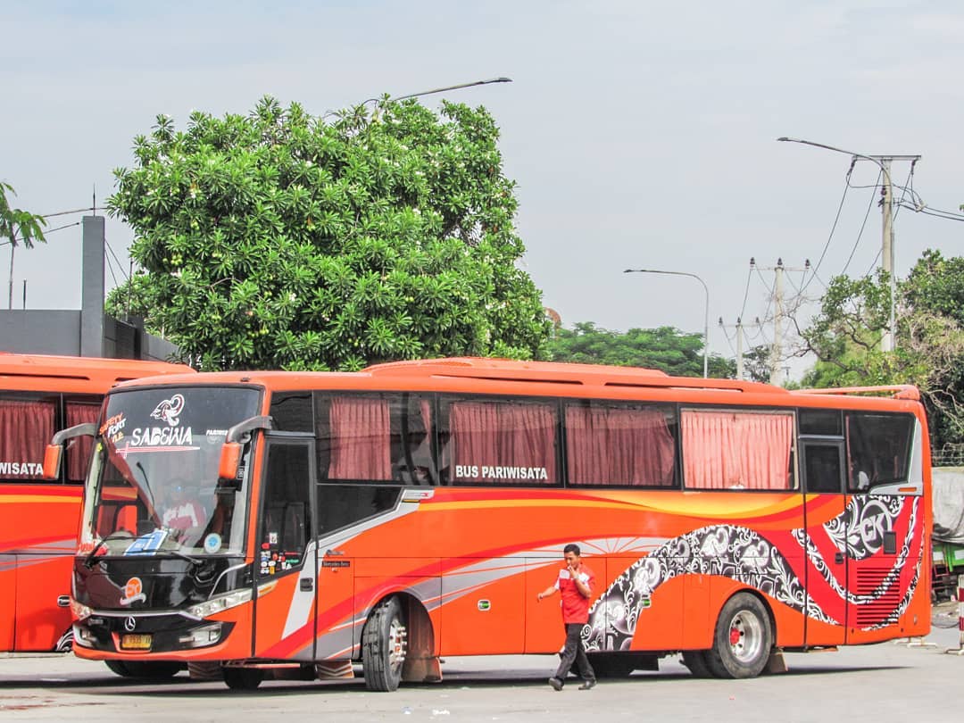 Detail Karoseri Tentrem Scorpion King Terbaru Gambar Karoseri Tentrem Nomer 34