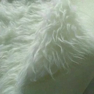 Detail Karpet Bulu Hd Nomer 42