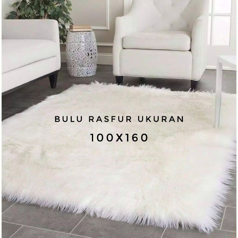 Detail Karpet Bulu Png Nomer 17