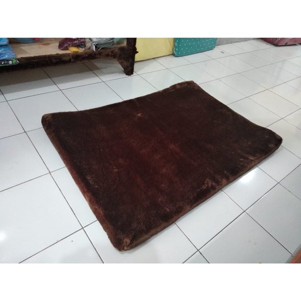 Detail Karpet Bulu Png Nomer 49