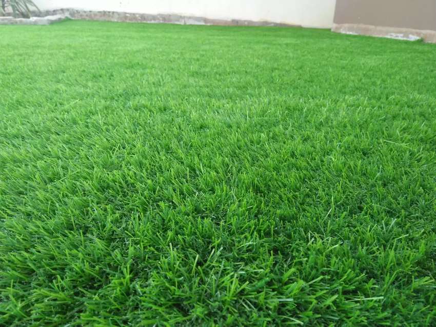 Detail Karpet Hijau Rumput Nomer 54