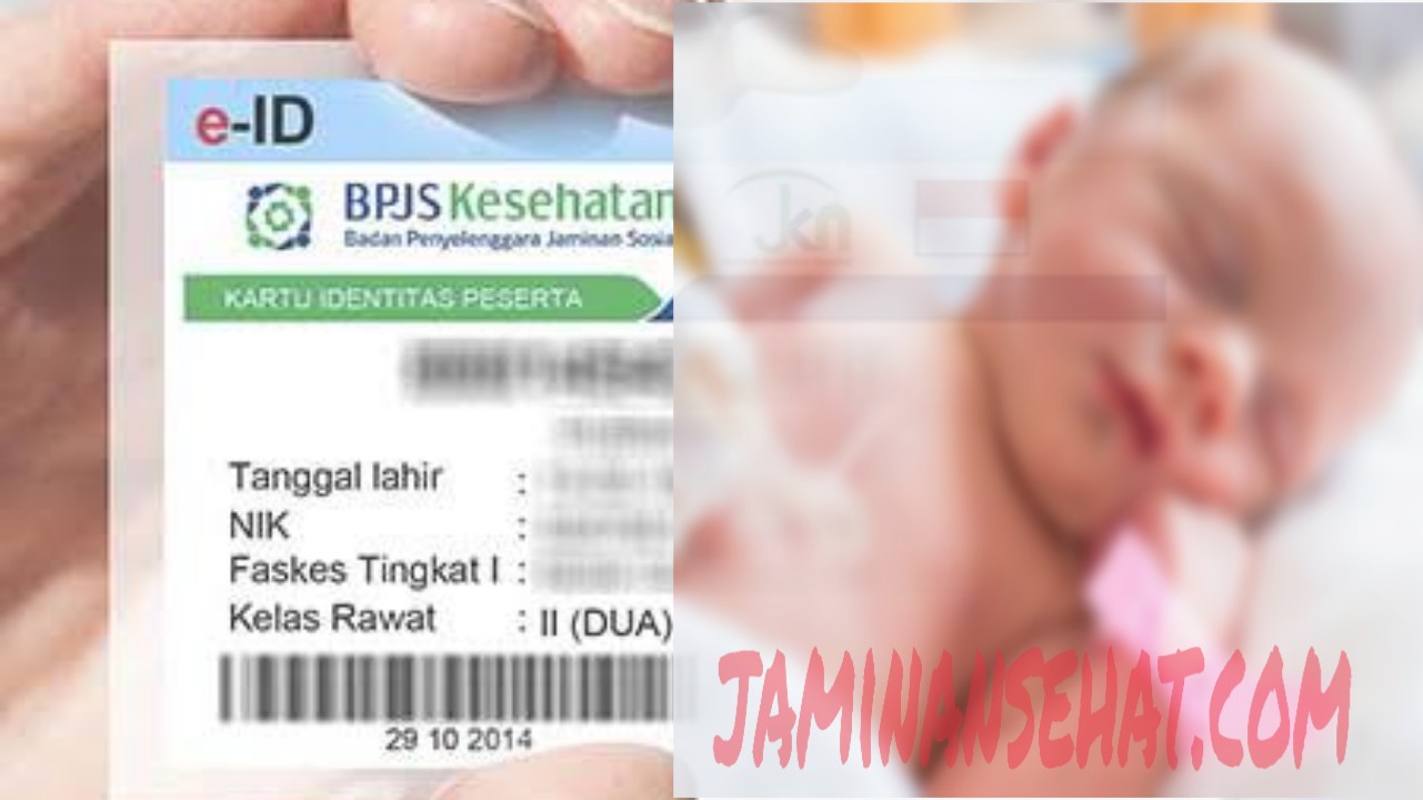 Detail Kartu Bayi Baru Lahir Nomer 37