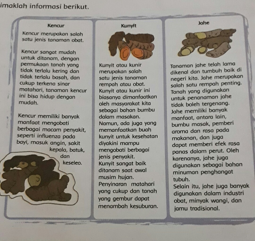 Detail Kartu Bergambar Berisi Informasi Tanaman Sayuran Nomer 2