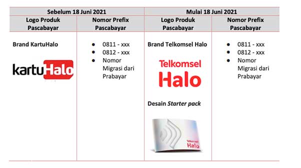 Detail Kartu Halo Logo Nomer 49