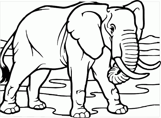Detail Kartun Gajah Gambar Batik Sumatera Nomer 45