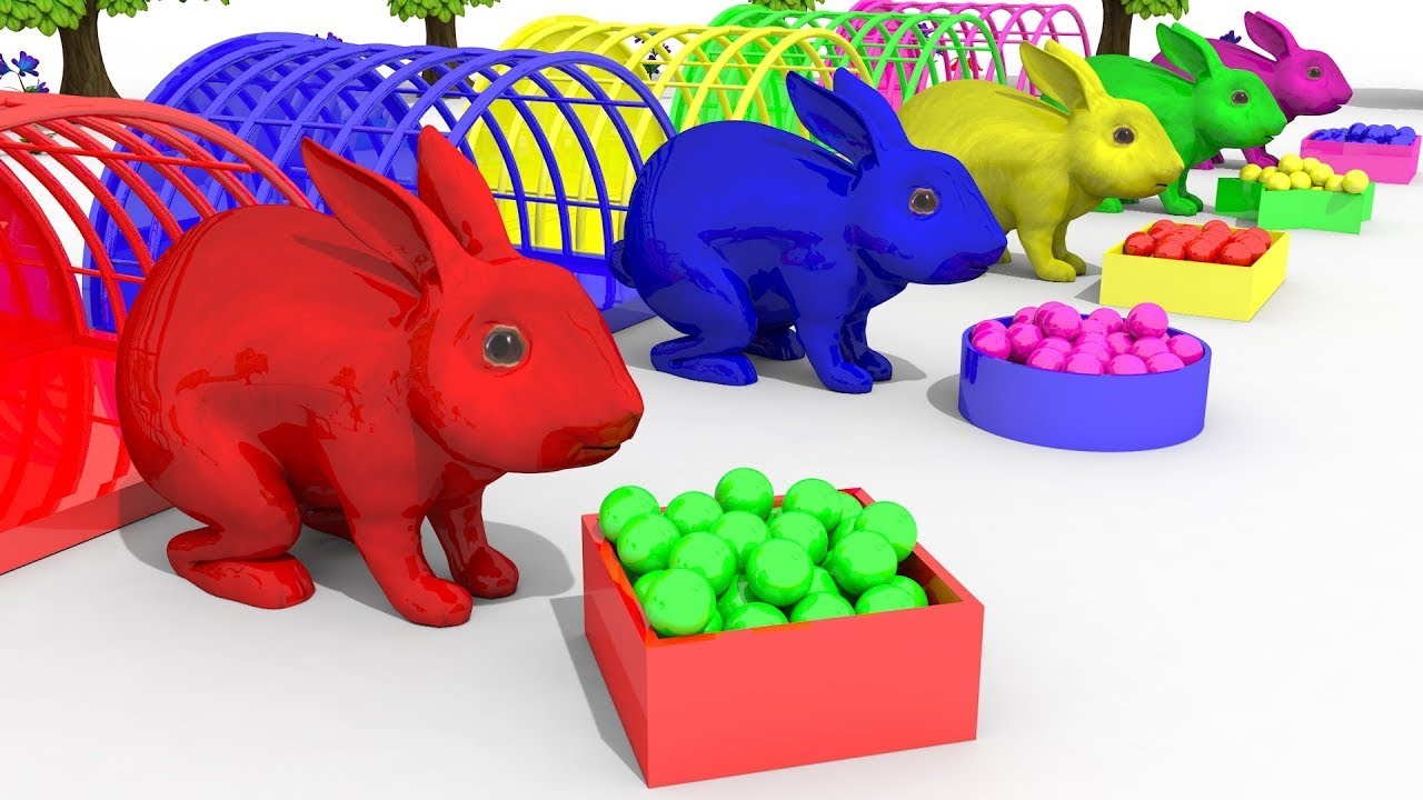 Detail Kartun Kelinci Warna Warni Nomer 11