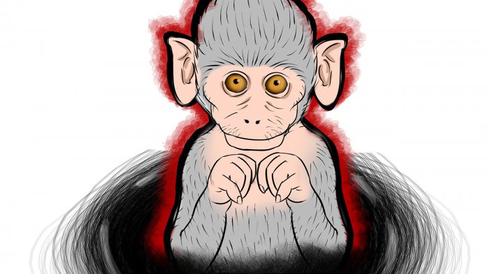 Detail Kartun Monyet Kuning Ekor Panjang Nomer 40