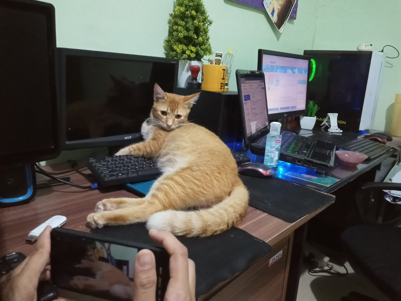 Detail Kaskus Programmer Nomer 13