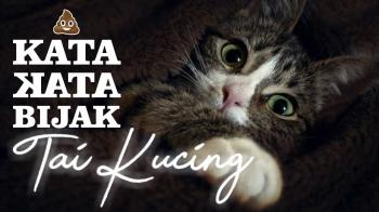 Detail Kata Baba Kucing Nomer 41