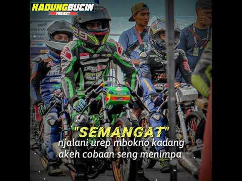 Detail Kata Drag Race Nomer 20