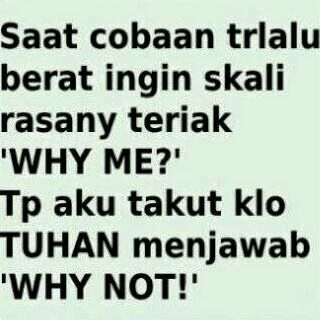 Kata Gambar Lucu - KibrisPDR