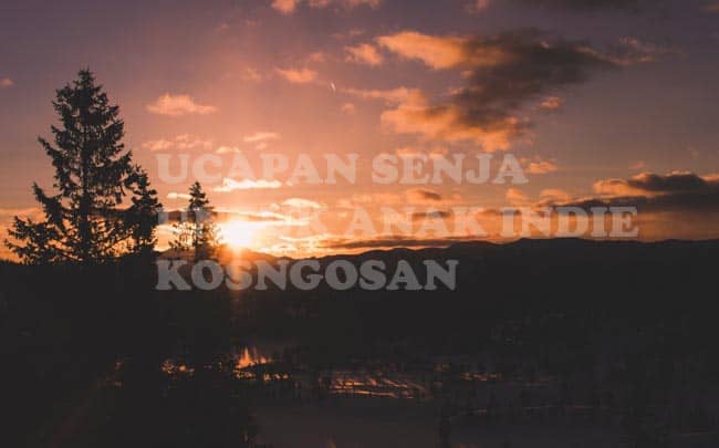 Detail Kata Kata Anak Indie Tentang Senja Nomer 11