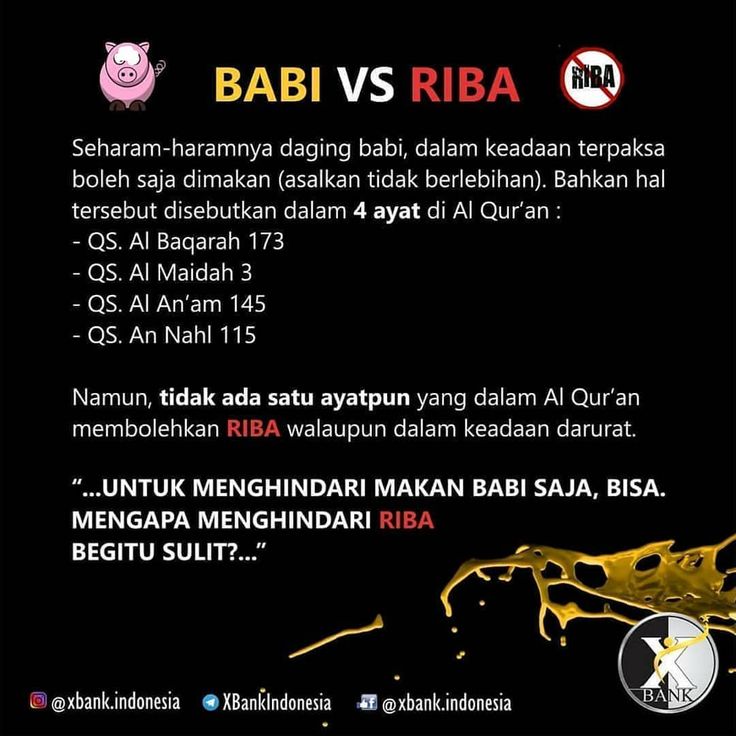 Detail Kata Kata Babi Nomer 10