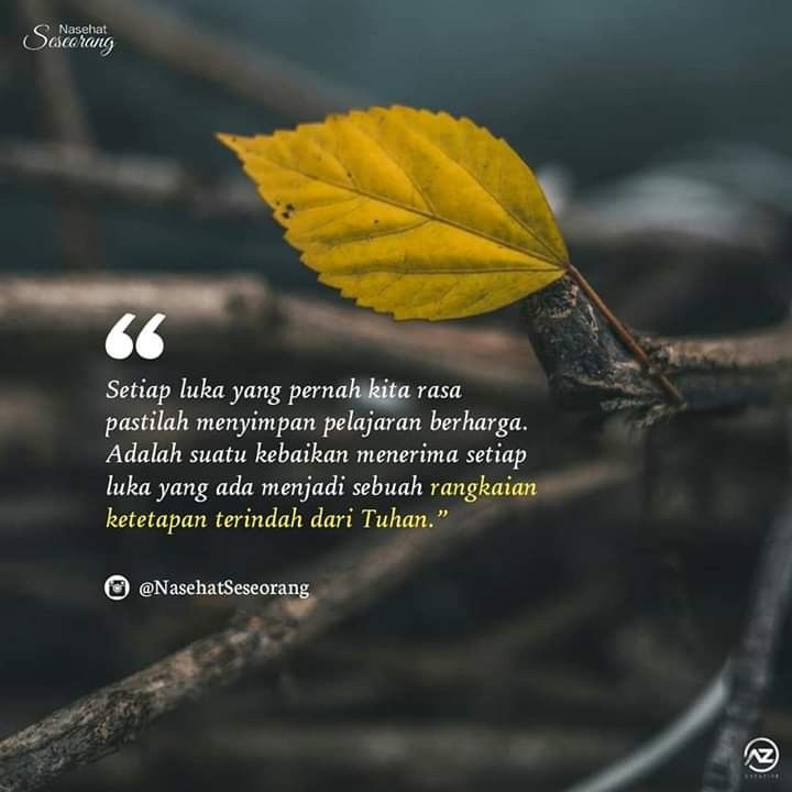 Detail Kata Kata Bagus Quotes Nomer 2