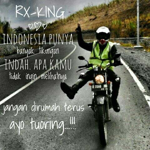 Detail Kata Kata Cinta Anak Rx King Nomer 51