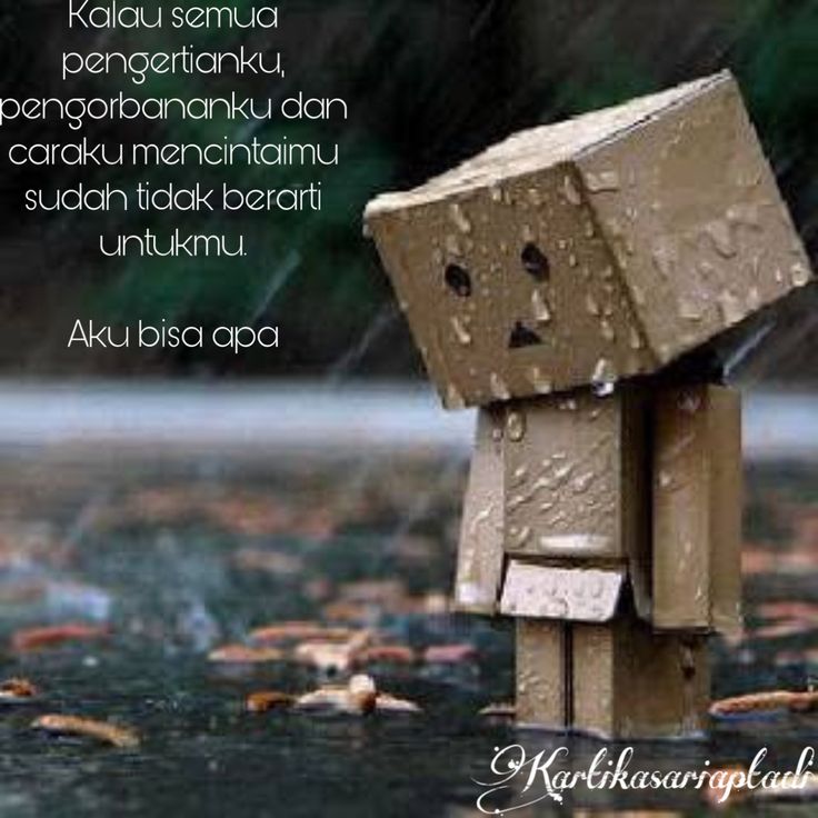 Detail Kata Kata Cinta Danbo Nomer 30