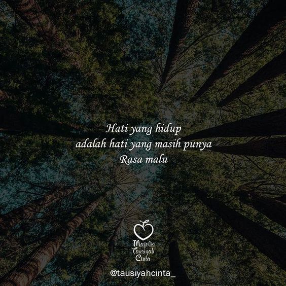 Detail Kata Kata Cinta Quotes Nomer 12