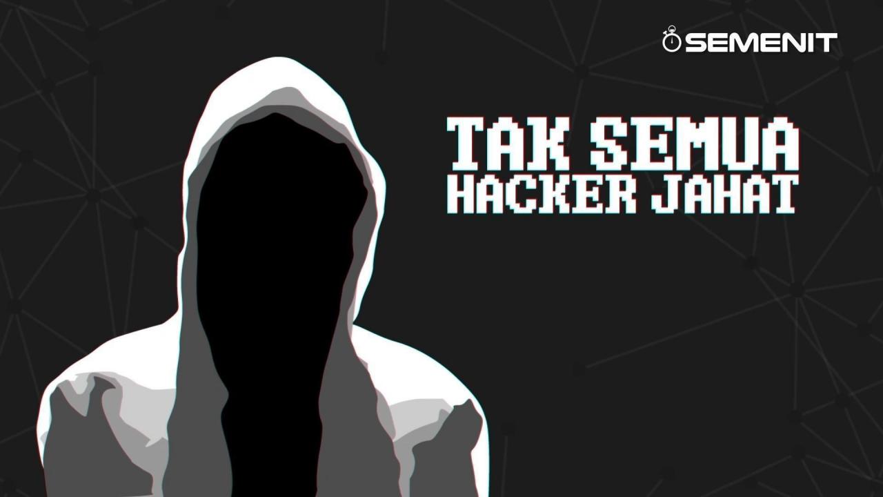 Detail Kata Kata Hacker Lucu Nomer 16