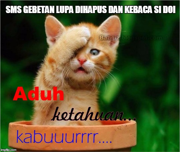 Detail Kata Kata Kucing Lucu Nomer 25