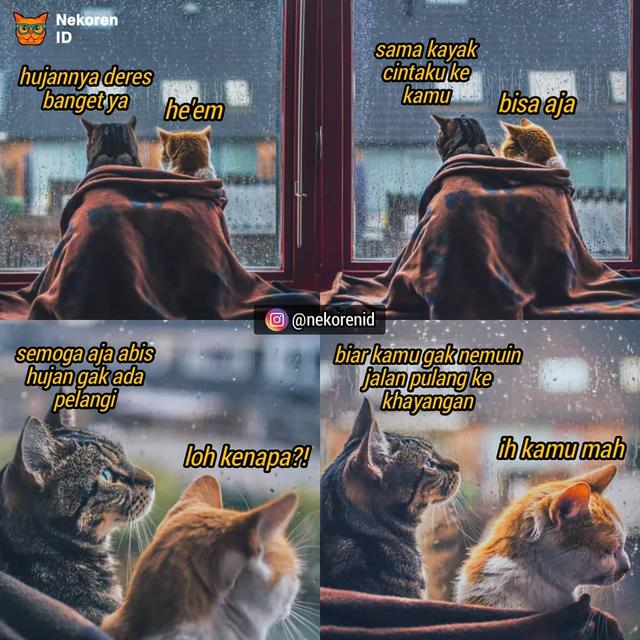 Detail Kata Kata Kucing Lucu Nomer 26