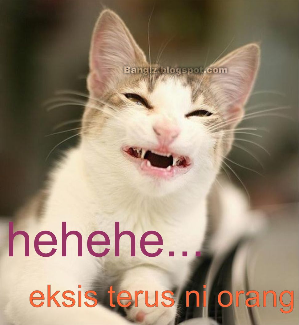 Detail Kata Kata Kucing Lucu Nomer 37